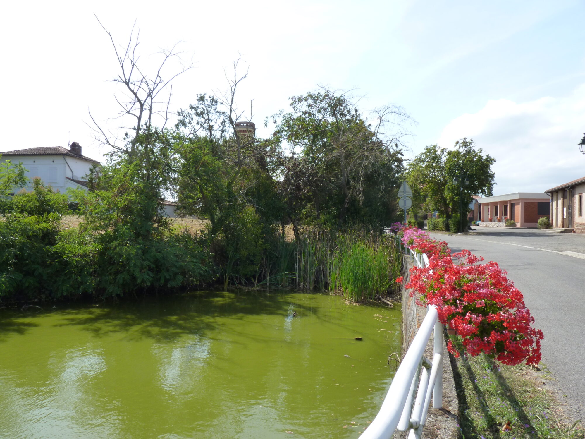 Canal bordé de fleurs à Office de Tourisme Cœur de Garonne