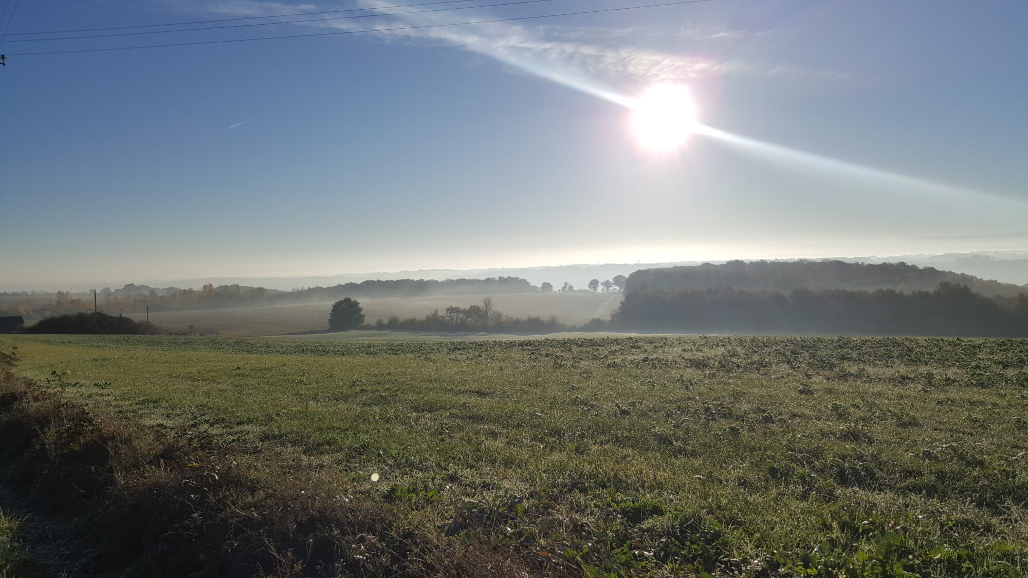 Paysage rural ensoleillé de l’Office de Tourisme Cœur de Garonne
