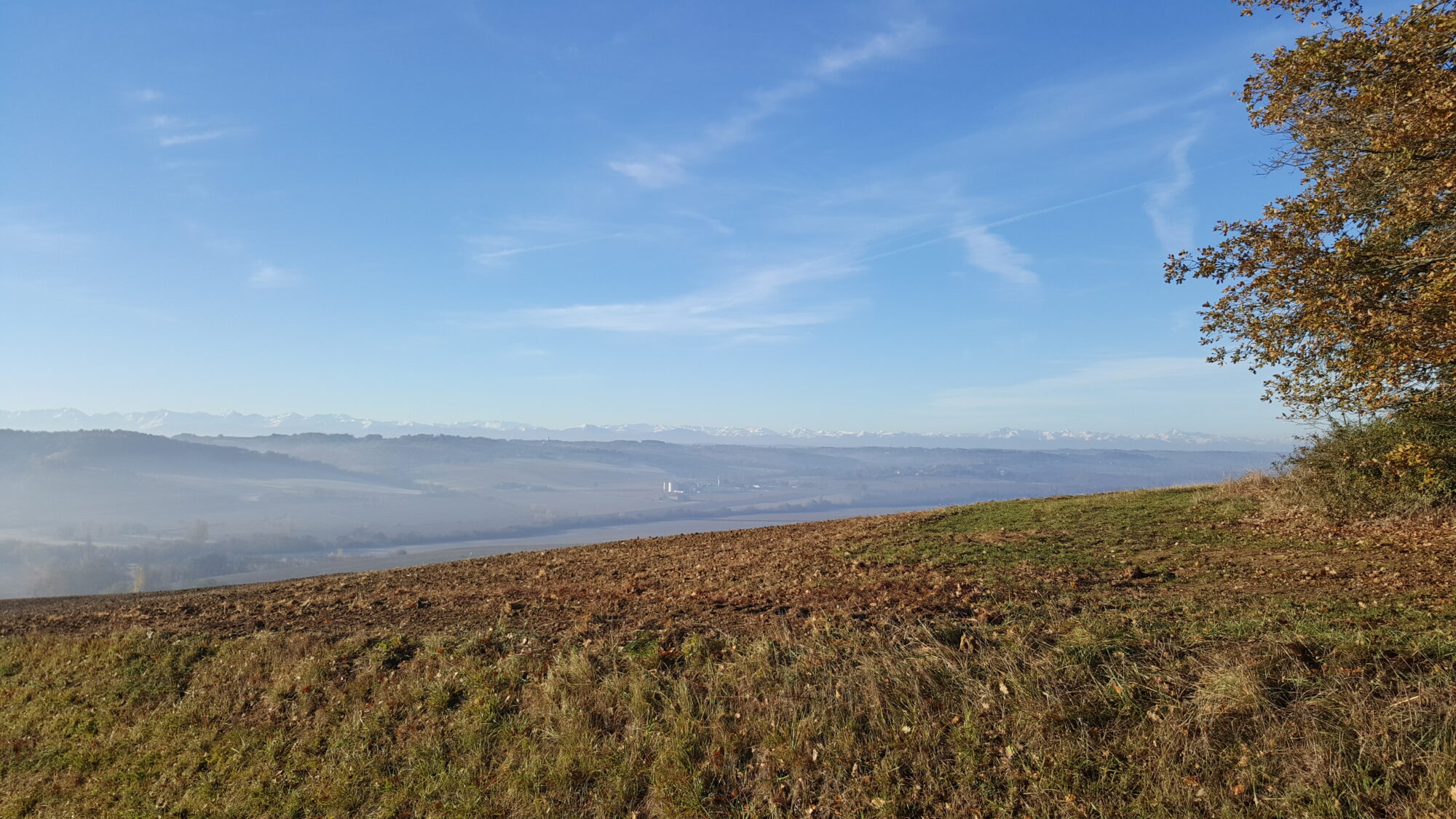 Panorama sur les Pyrénées depuis Cœur de Garonne