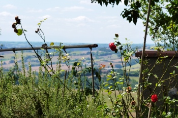 Vue panoramique sur la campagne depuis l’Office de Tourisme Cœur de Garonne