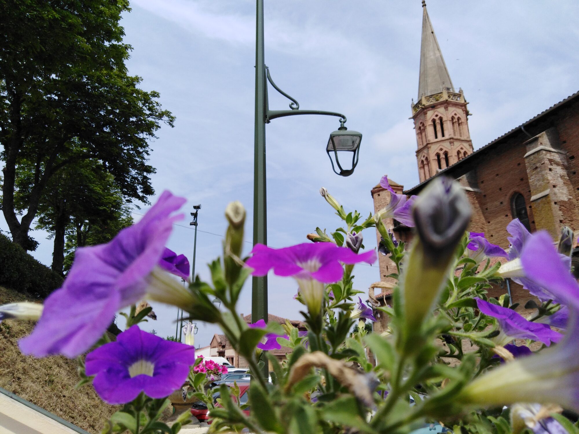 Église de Cœur de Garonne vue entre des fleurs violettes
