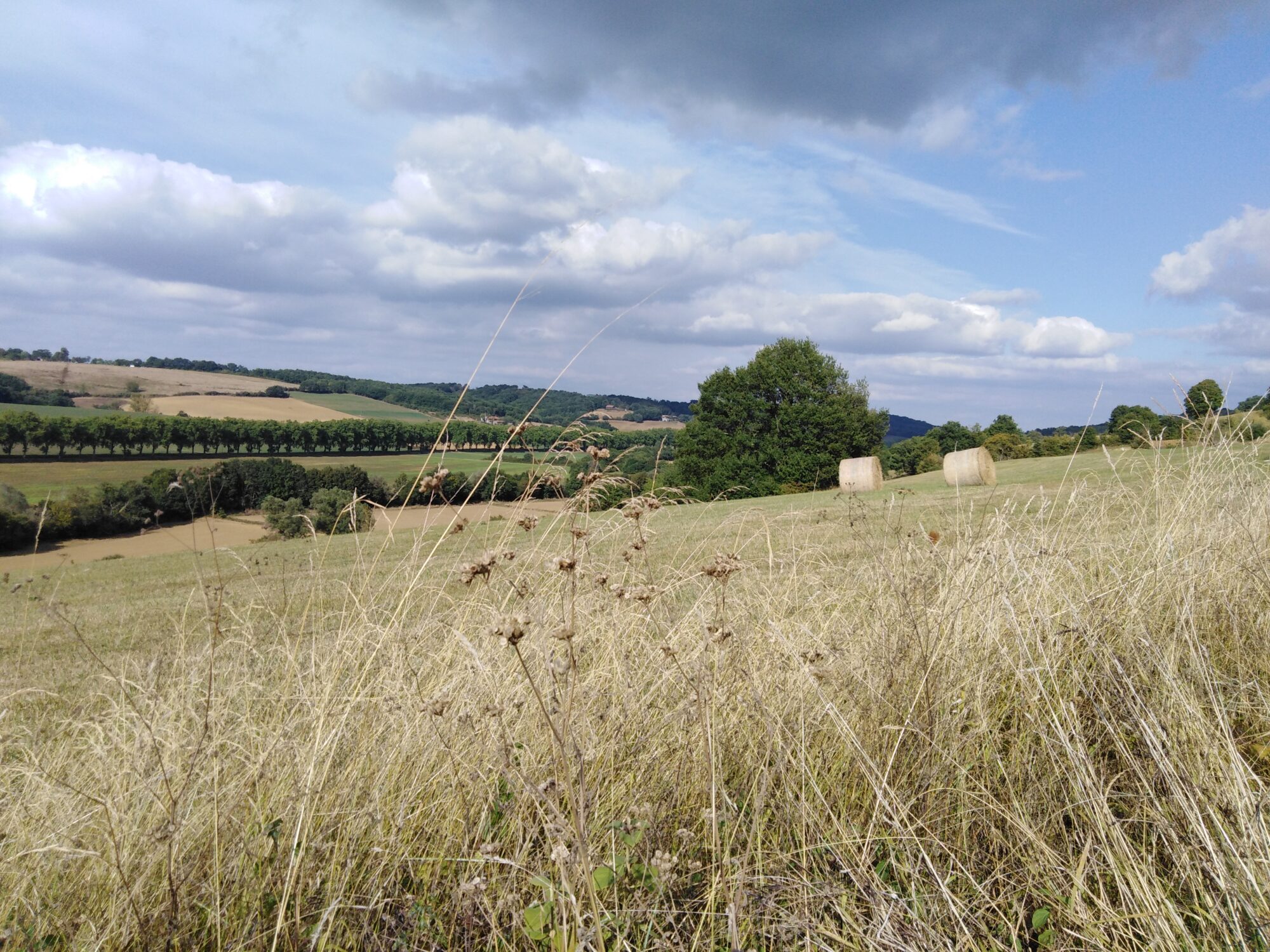 Paysage rural vallonné avec bottes de foin, Cœur de Garonne