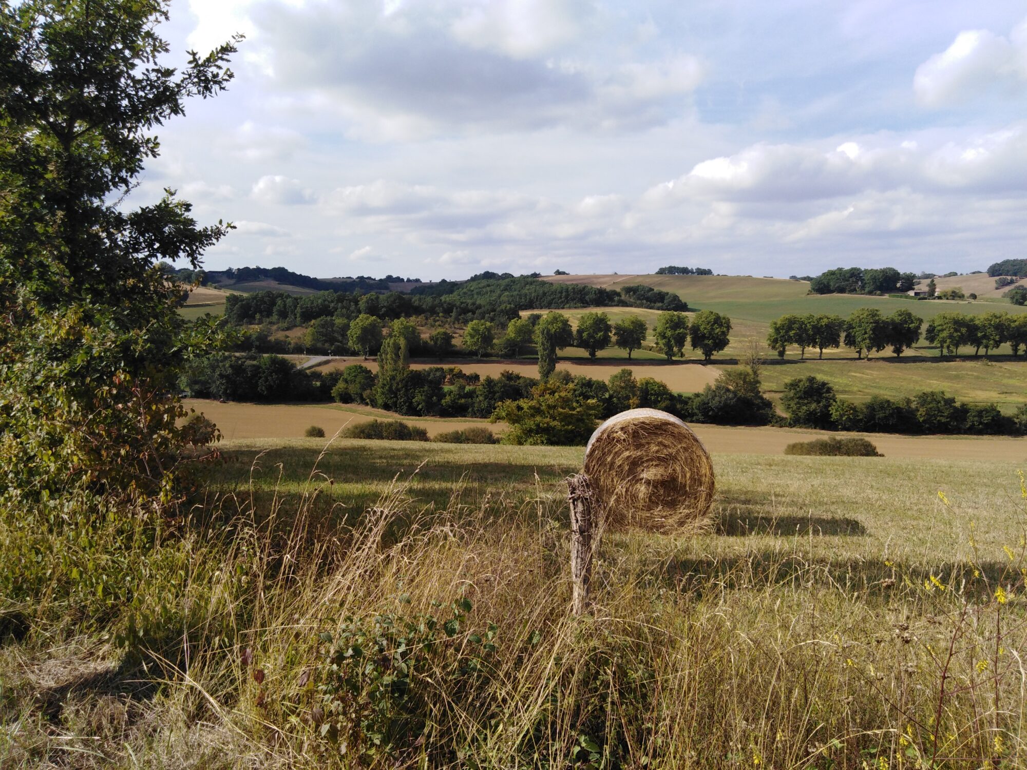 Paysage vallonné du Cœur de Garonne avec botte de foin et champs