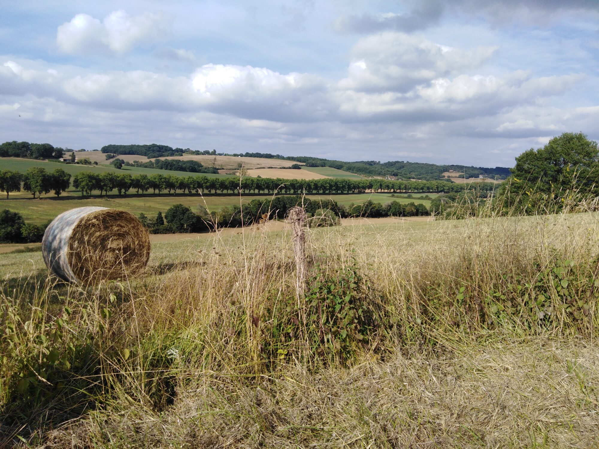 Botte de foin dans les collines du Cœur de Garonne