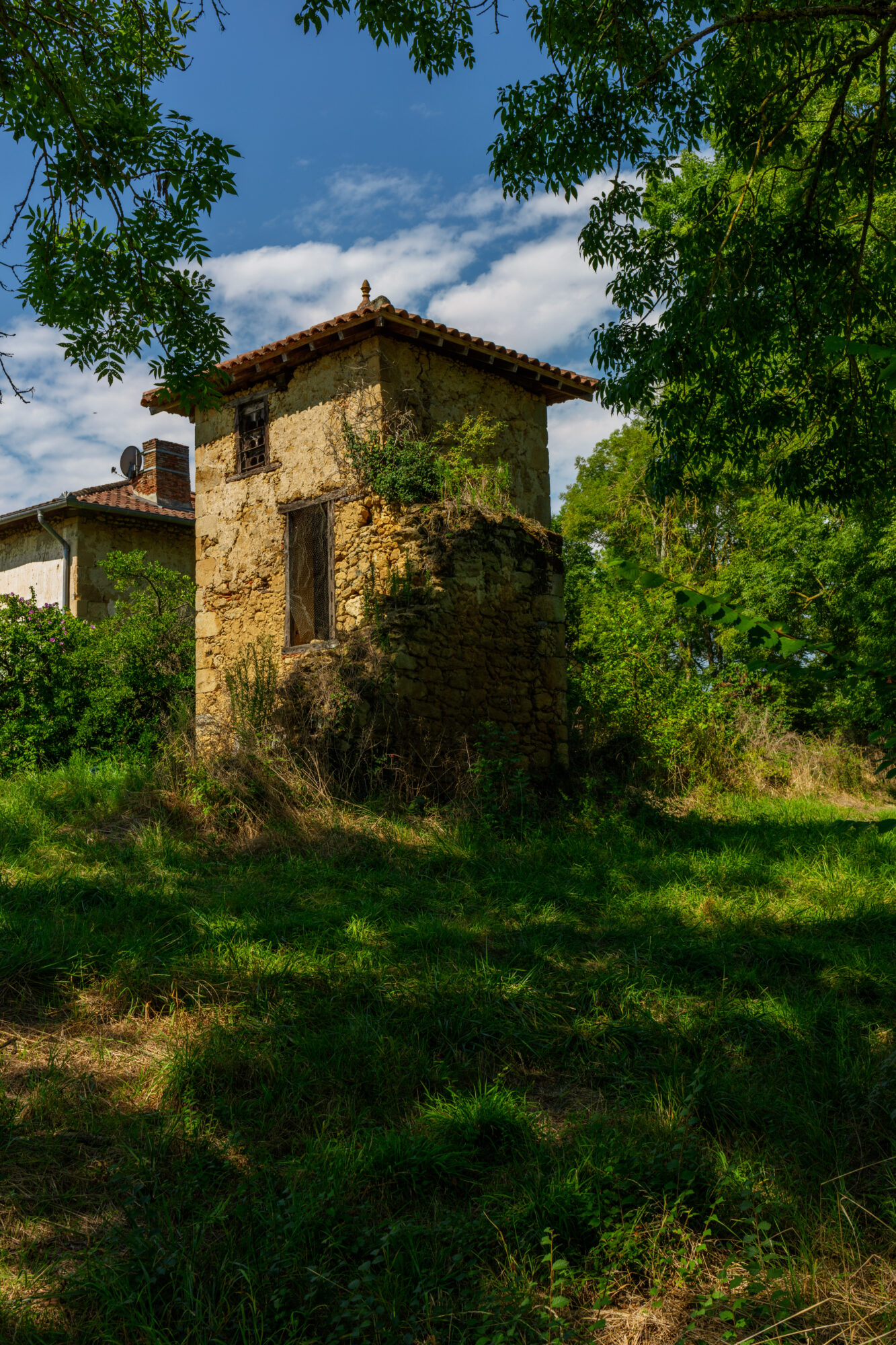 Ancienne tour en pierre envahie par la végétation en Cœur de Garonne