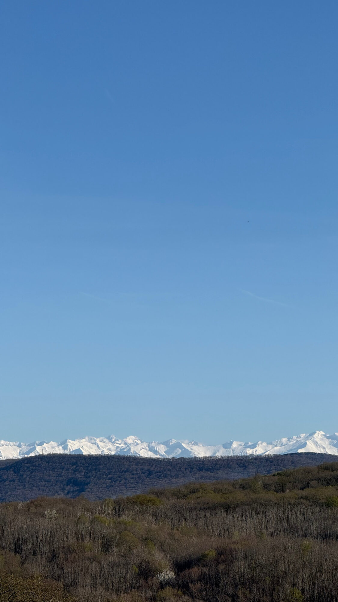 Vue sur les Pyrénées enneigées depuis Cœur de Garonne