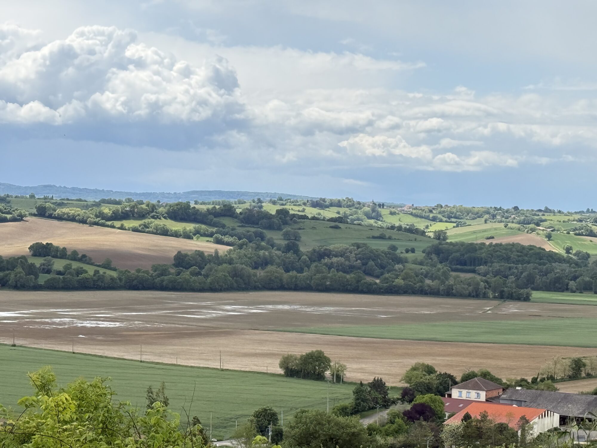 Paysage vallonné du Cœur de Garonne avec champs et boisements