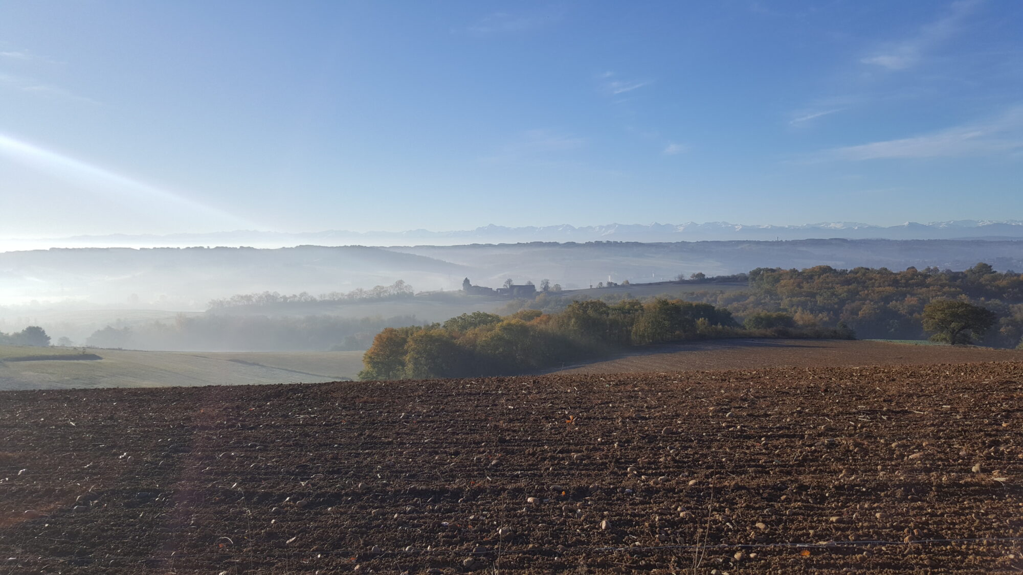 Panorama de collines et champs avec les Pyrénées, Cœur de Garonne