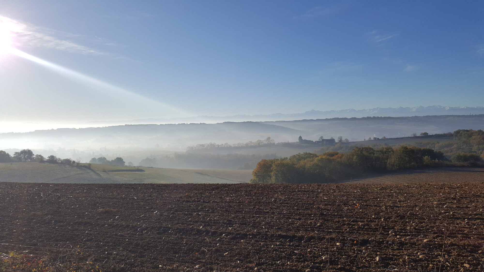 Paysage vallonné du Cœur de Garonne avec champs et brume matinale