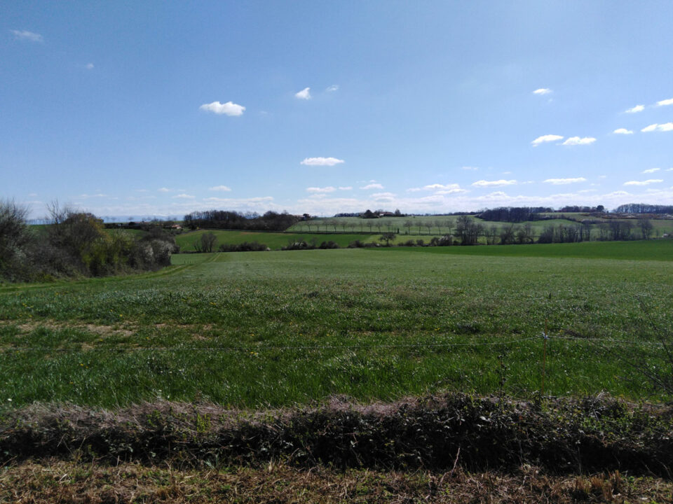 Paysage de champs vallonnés en Cœur de Garonne