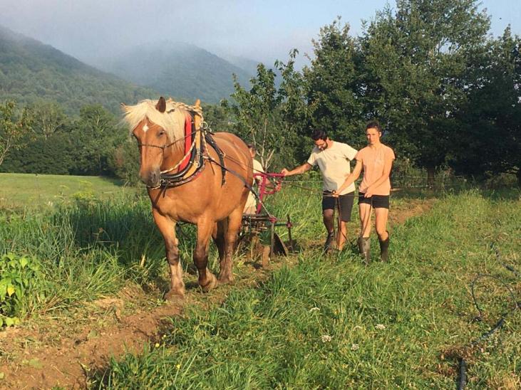 LES JARDINS DU CAPELIN / SAINT-MICHEL