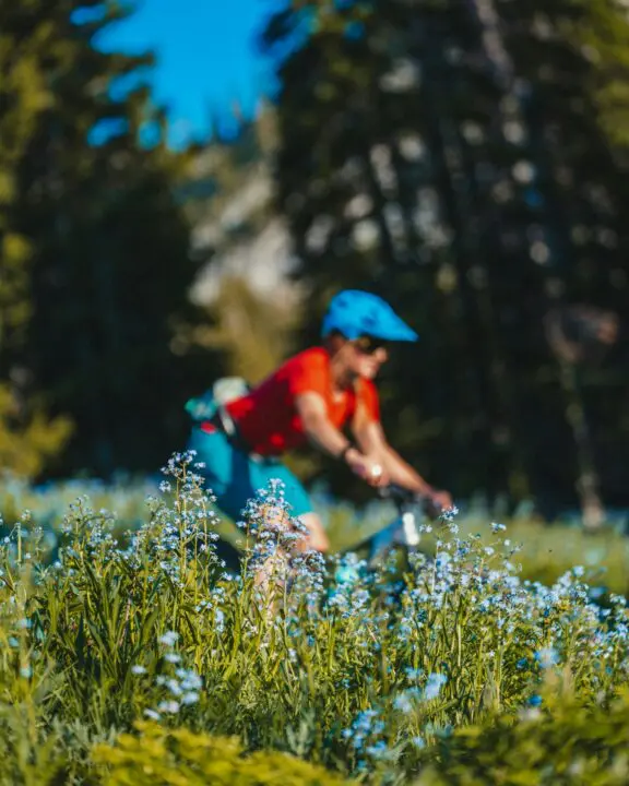 Cycliste en VTT au milieu de fleurs sauvages, Office de Tourisme Cœur de Garonne