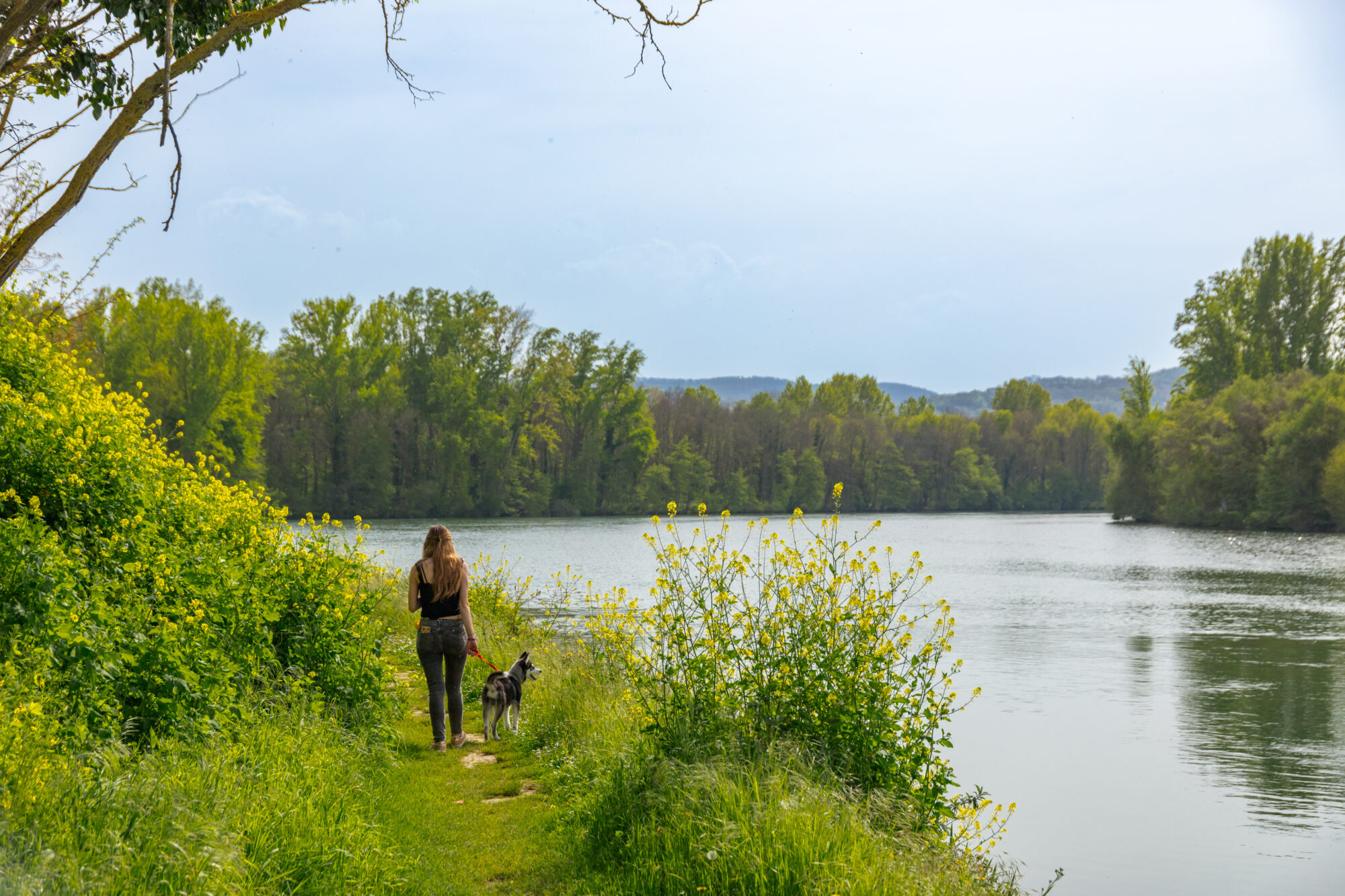 Promenade avec chien au bord de la Garonne, Office de Tourisme Cœur de Garonne
