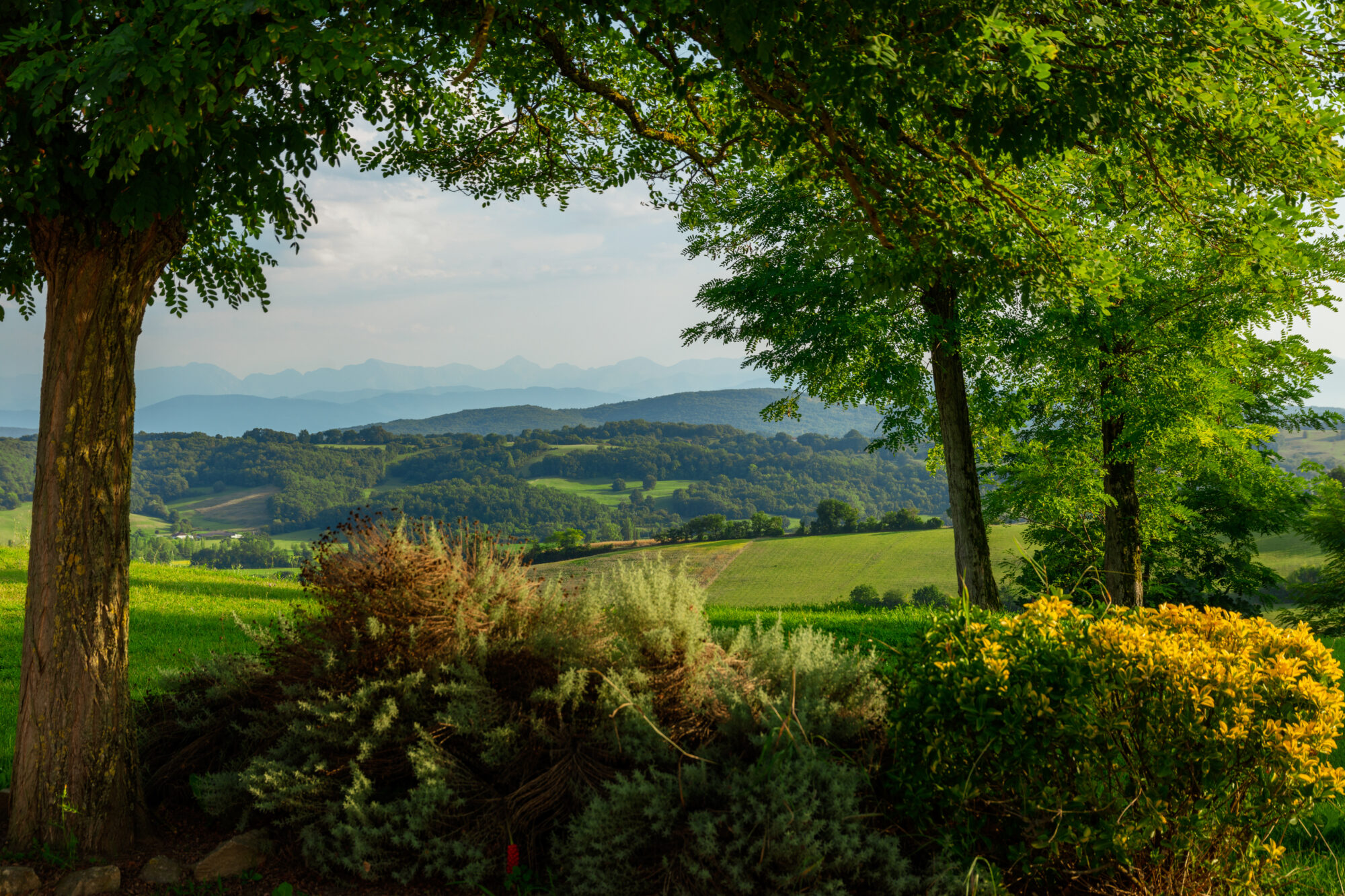Paysage vallonné du Cœur de Garonne vu entre des arbres