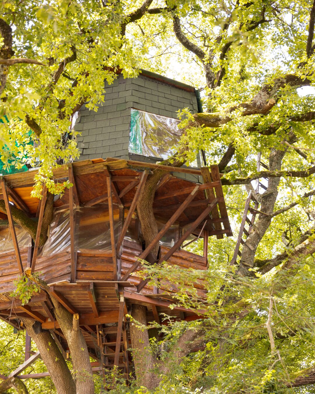Cabane perchée en bois dans les arbres, Office de Tourisme Cœur de Garonne