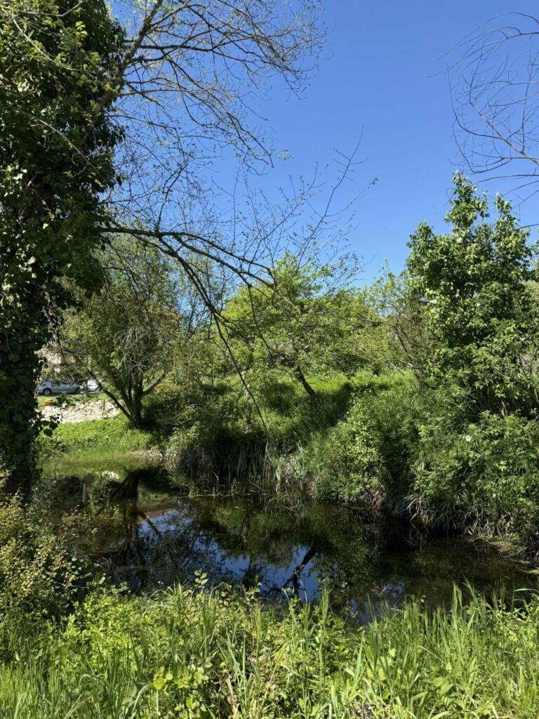 Ruisseau bordé d’arbres et de végétation, Office de Tourisme Cœur de Garonne