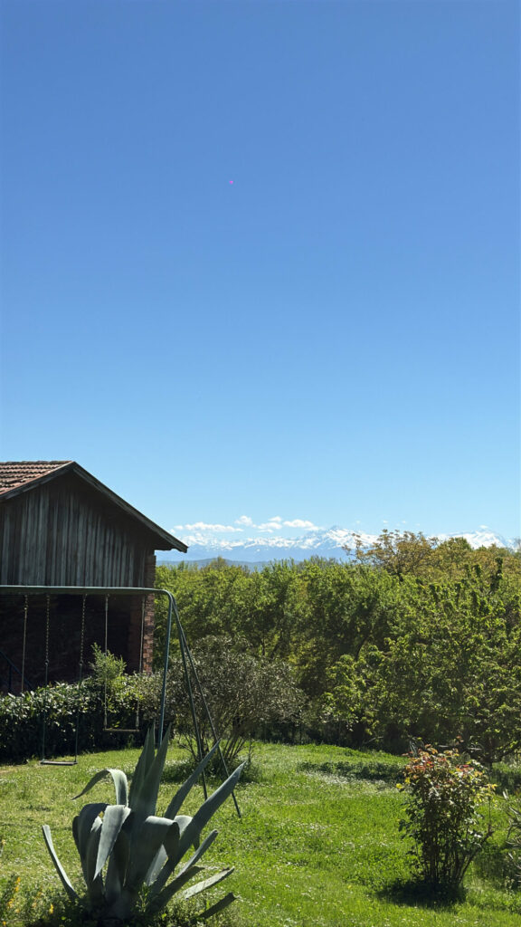 Vue sur les Pyrénées depuis un jardin en Cœur de Garonne