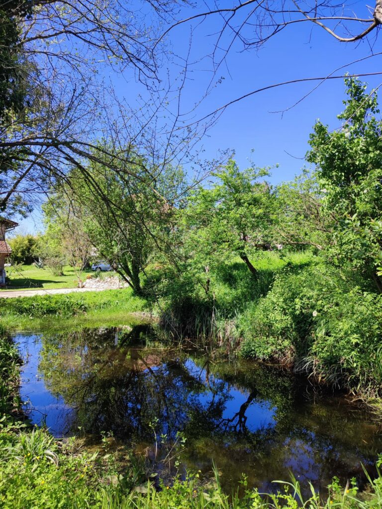 Ruisseau bordé d’arbres et de végétation, Office de Tourisme Cœur de Garonne