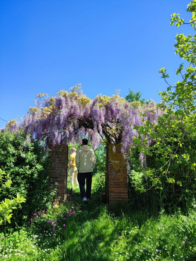 Visiteurs sous une arche de glycine, Office de Tourisme Cœur de Garonne