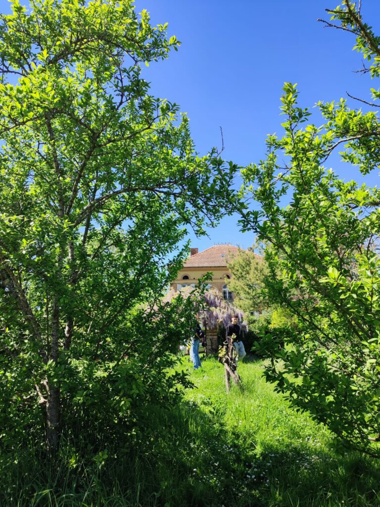 Jardin arboré avec visiteurs devant une maison, Cœur de Garonne