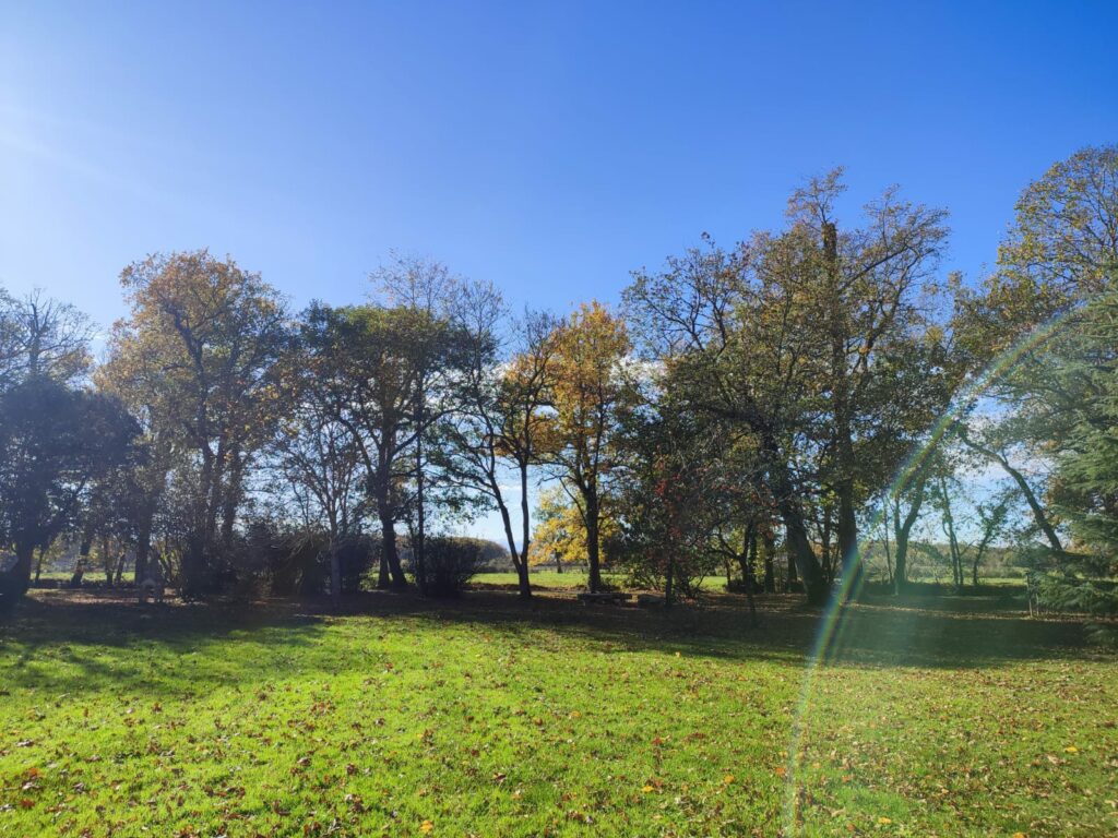 Parc arboré en Cœur de Garonne avec pelouse et arbres d’automne
