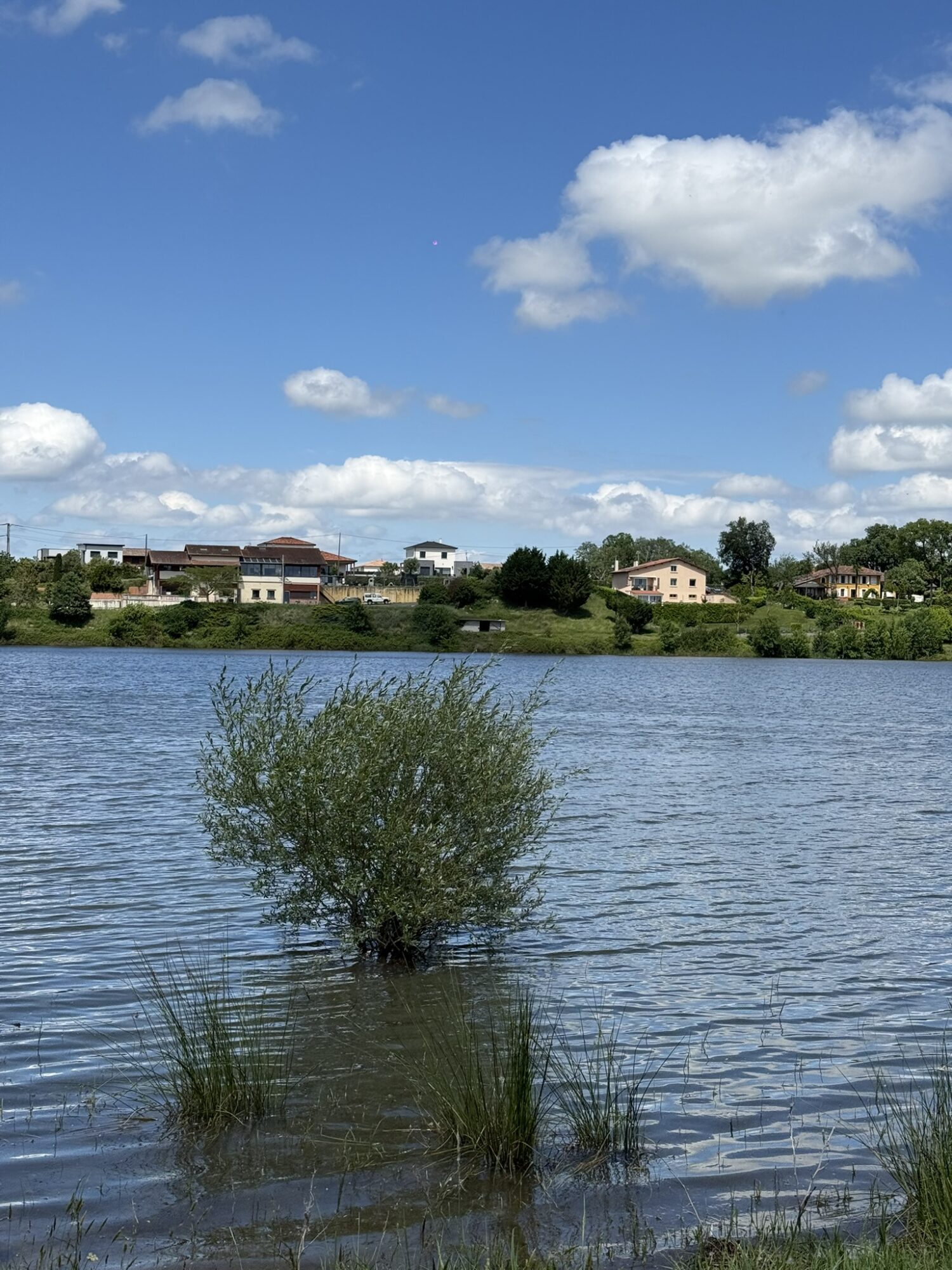 ENS - Lac de la Bure – Rieumes