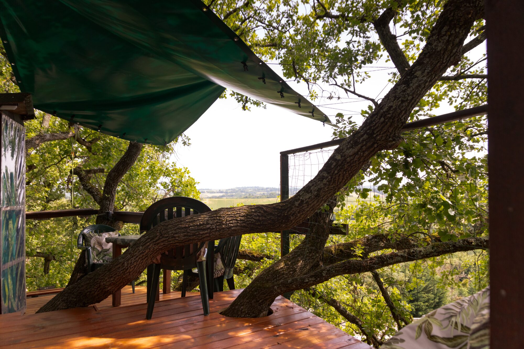 Terrasse de cabane dans les arbres, Office de Tourisme Cœur de Garonne