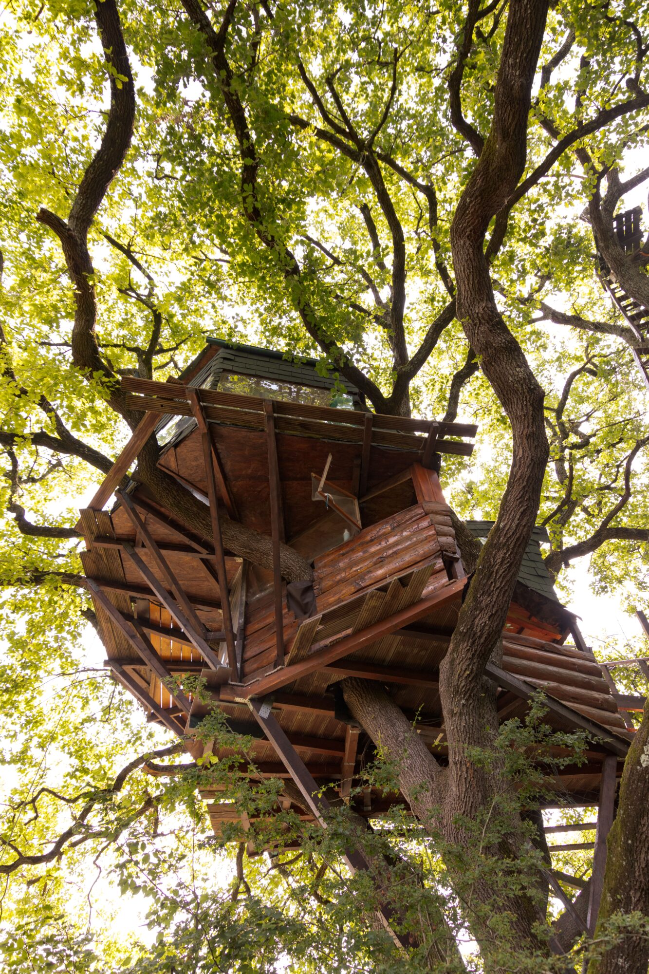 Cabane perchée dans les arbres, Office de Tourisme Cœur de Garonne