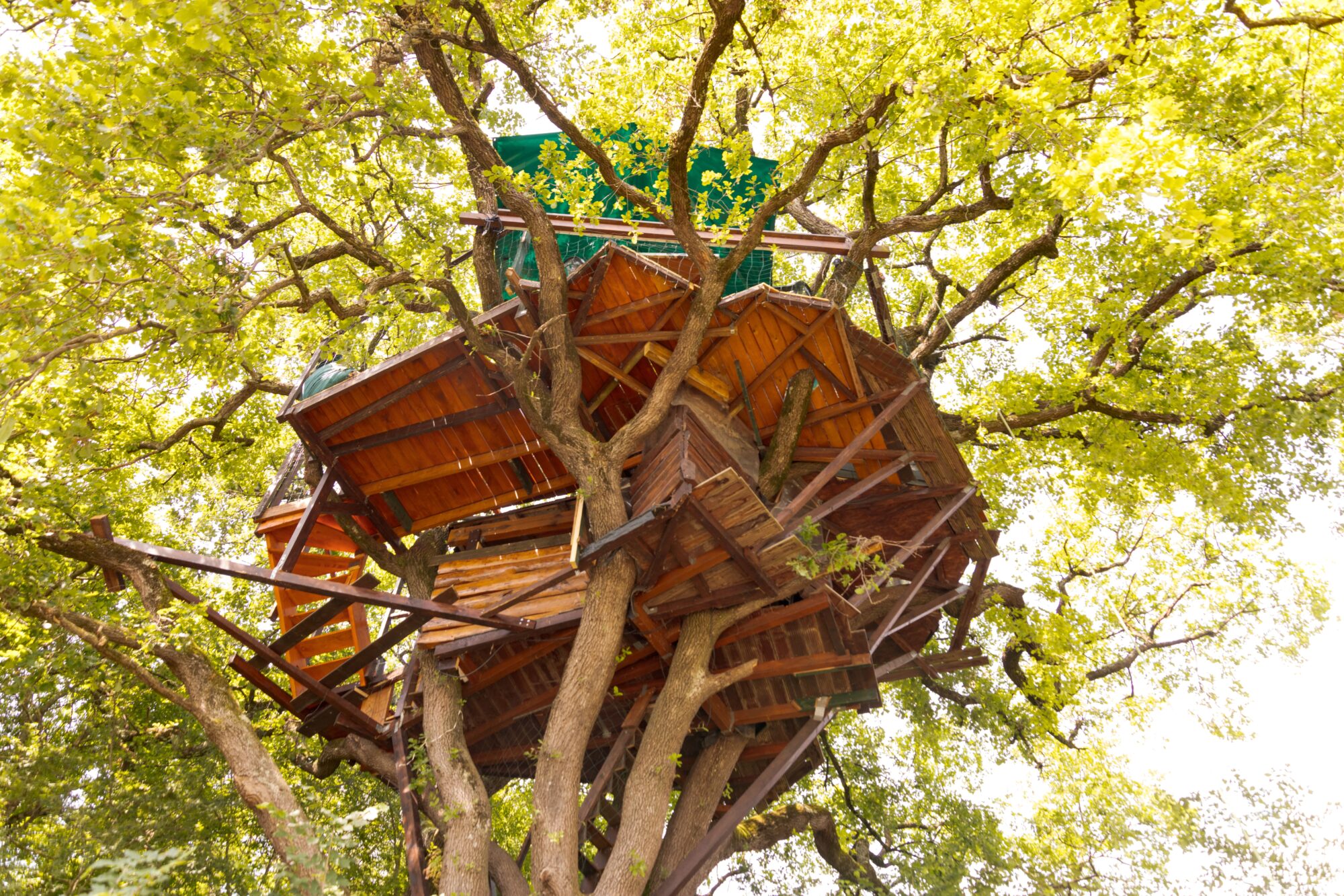 Cabane en bois perchée dans un arbre, Office de Tourisme Cœur de Garonne
