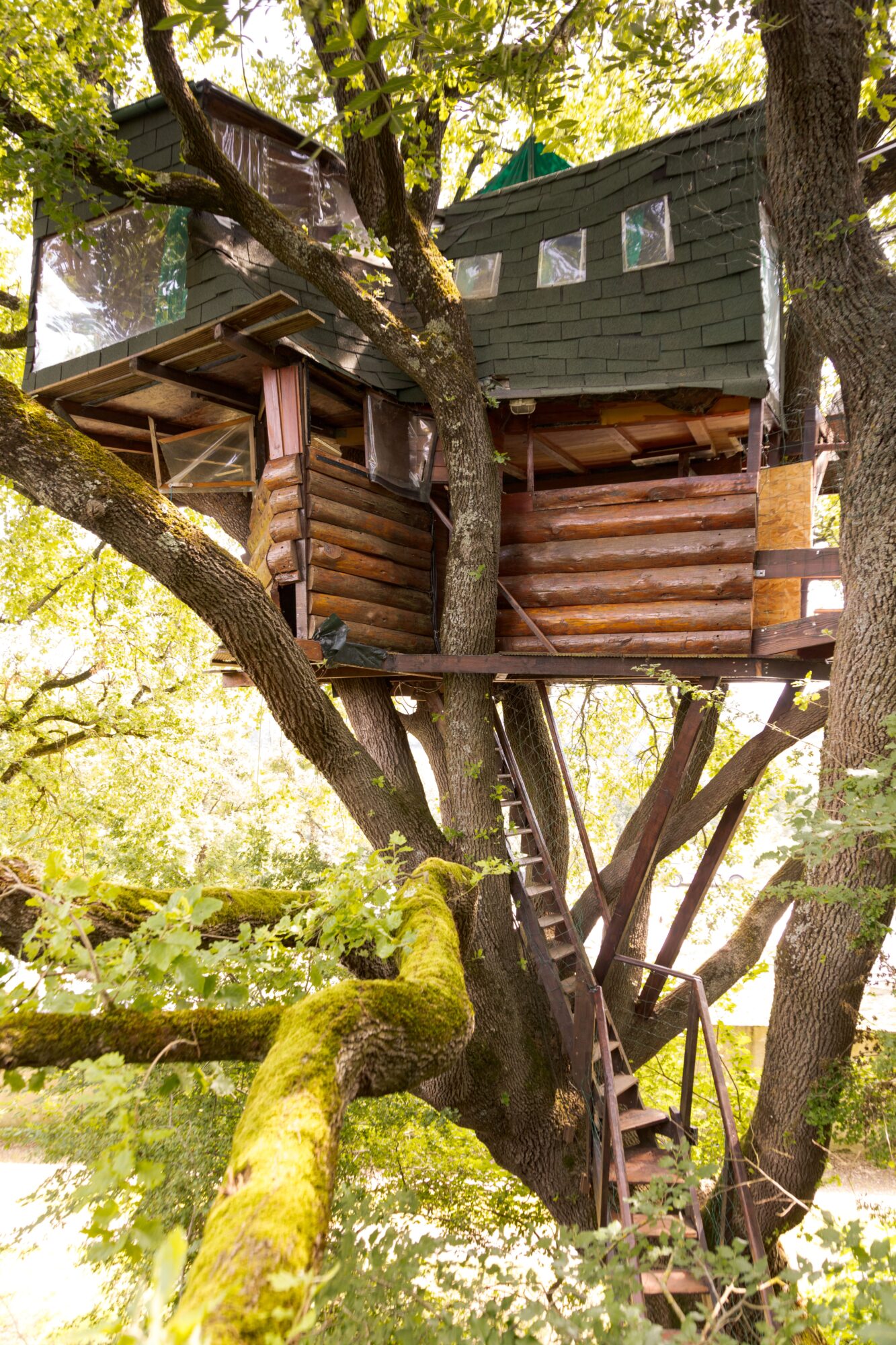 Cabane perchée dans les arbres, Office de Tourisme Cœur de Garonne