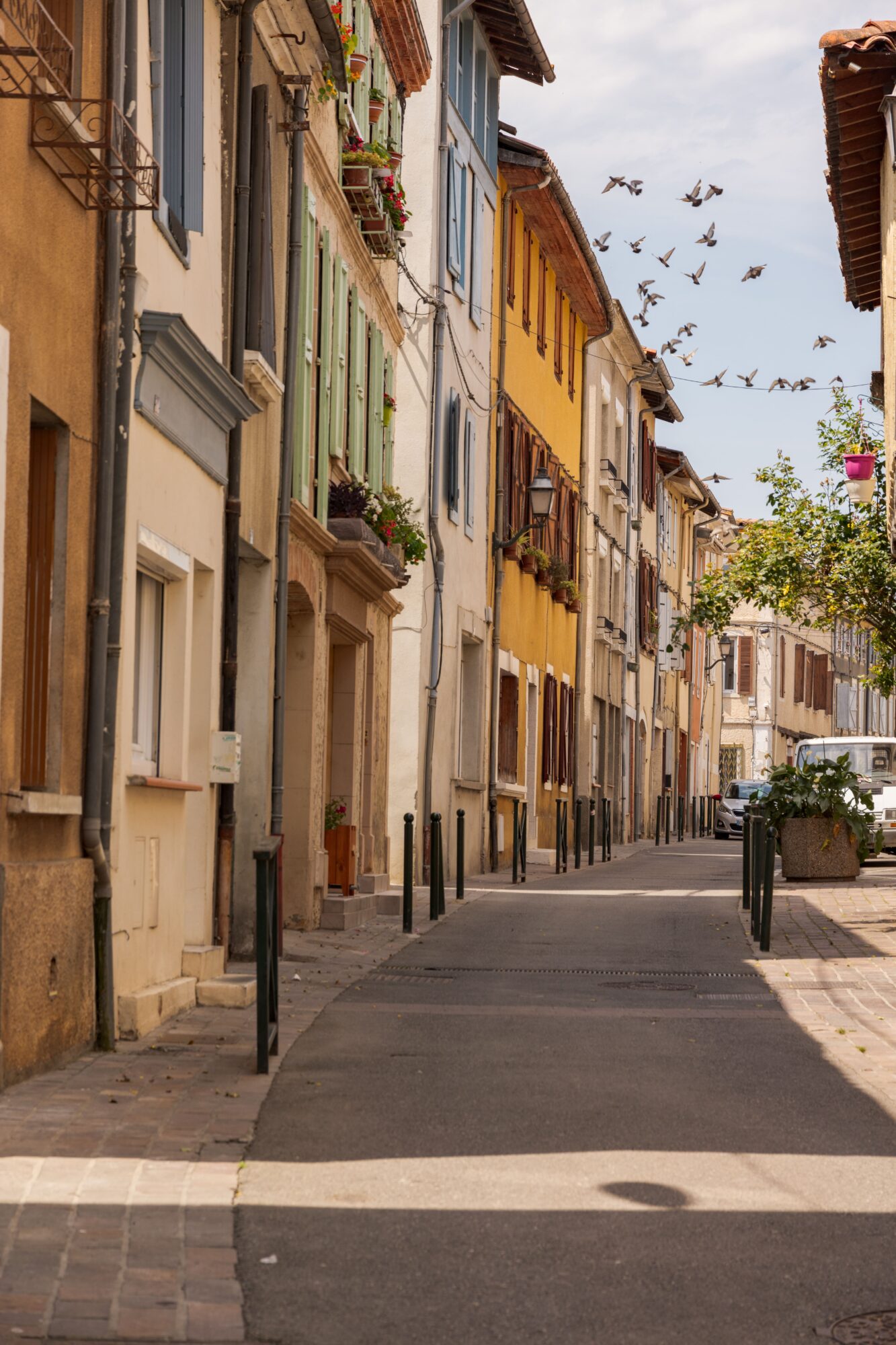 Rue étroite bordée de maisons colorées, oiseaux en vol à Cazères