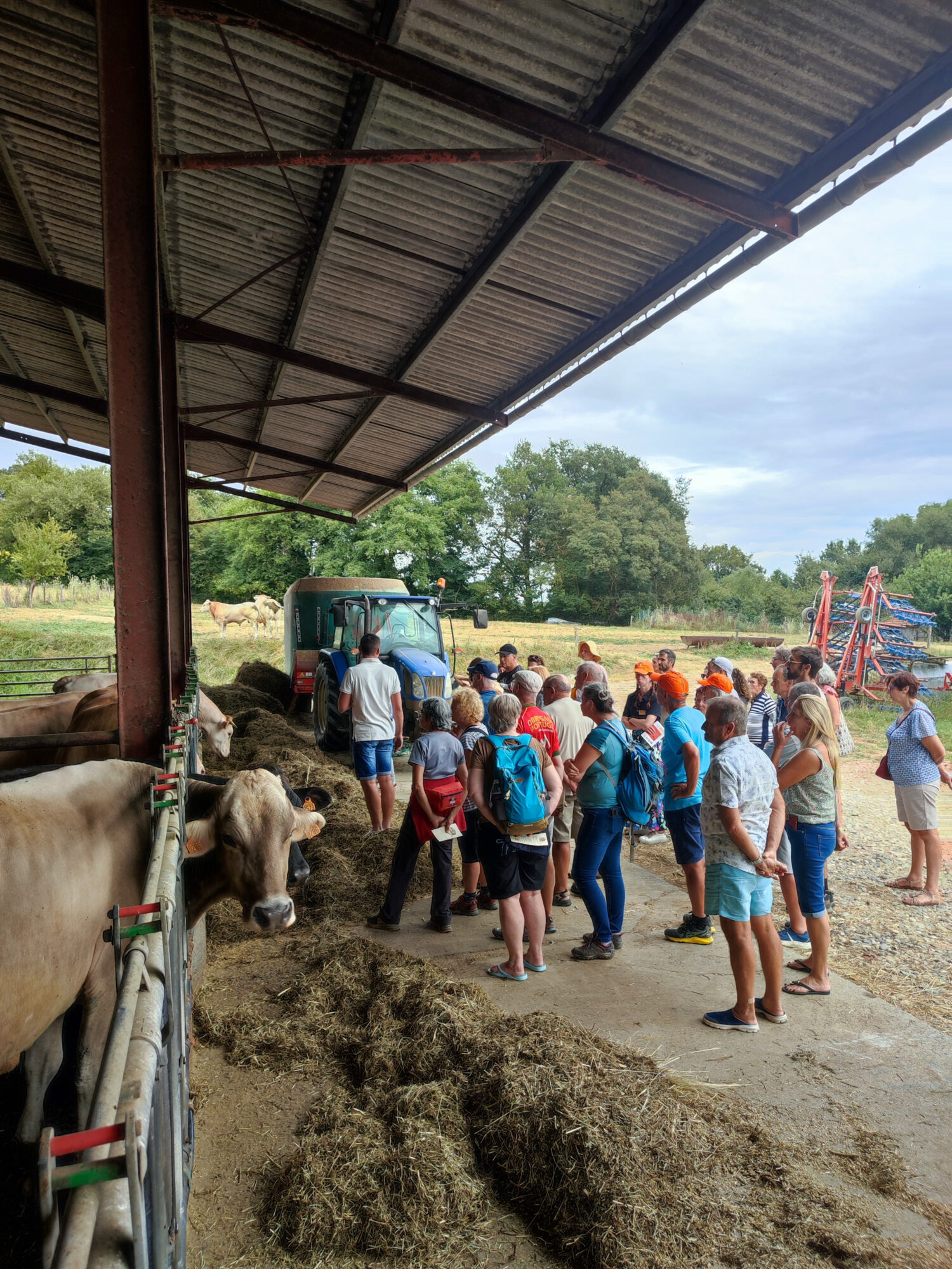 Visite de ferme avec vaches et groupe, Office de Tourisme Cœur de Garonne