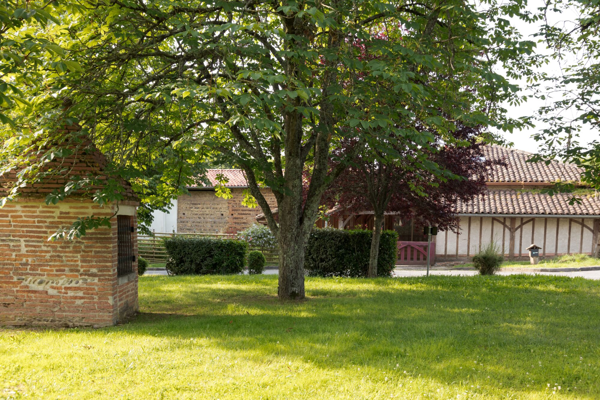 Arbre et pigeonnier en brique près d’une maison à colombages Cœur de Garonne