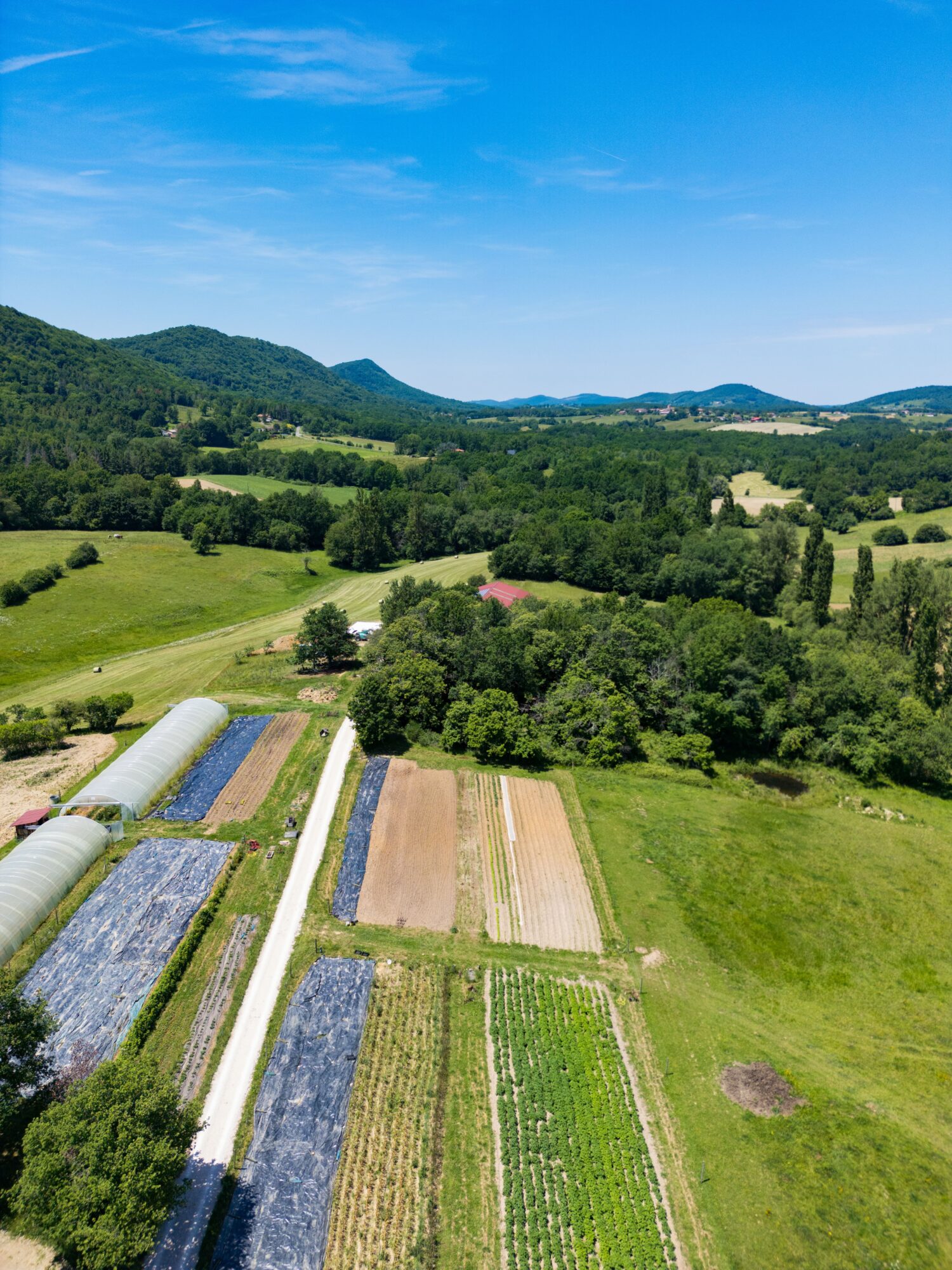 Vue aérienne de champs cultivés et collines en Cœur de Garonne