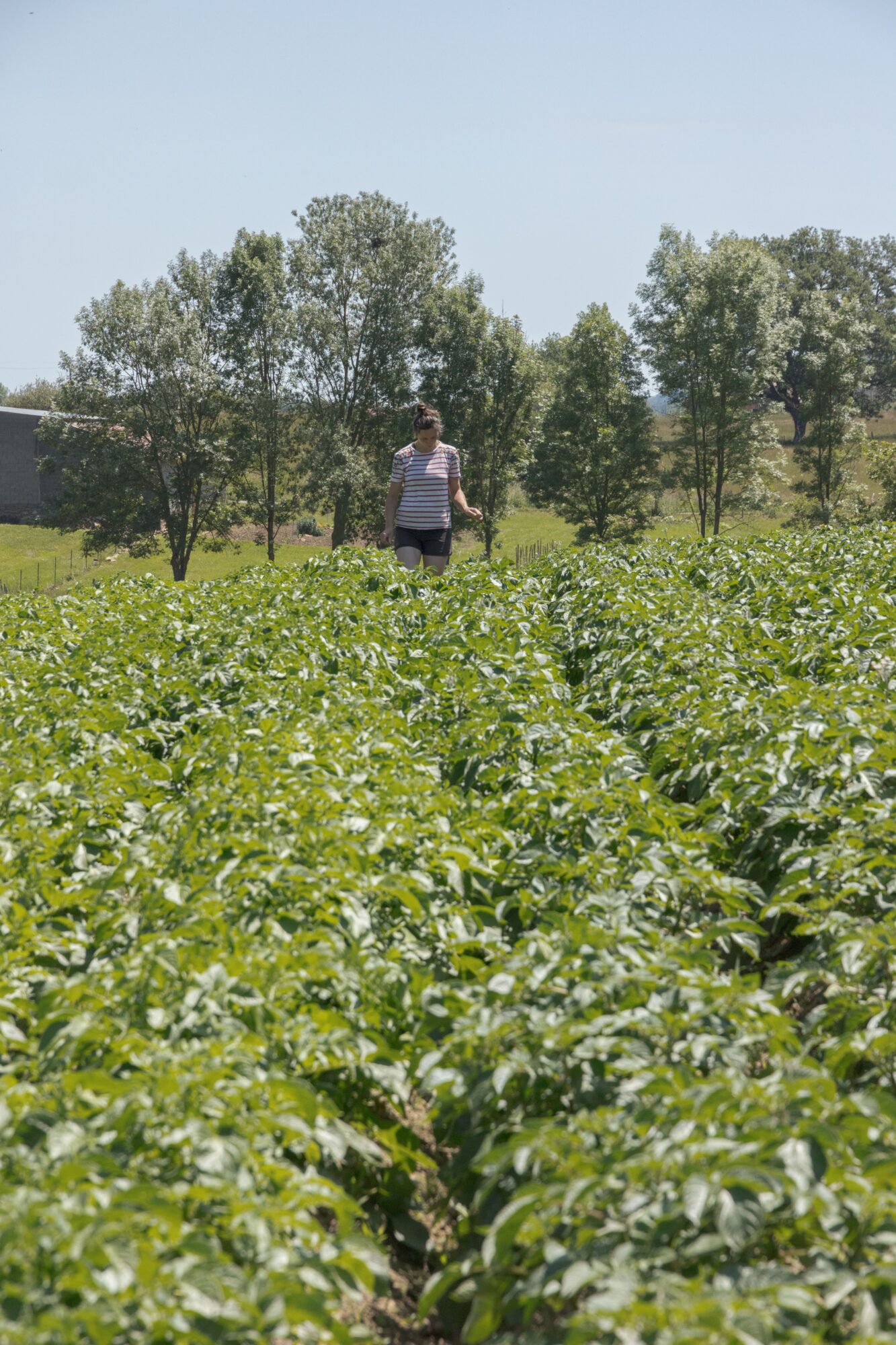 Personne dans un champ cultivé, Office de Tourisme Cœur de Garonne