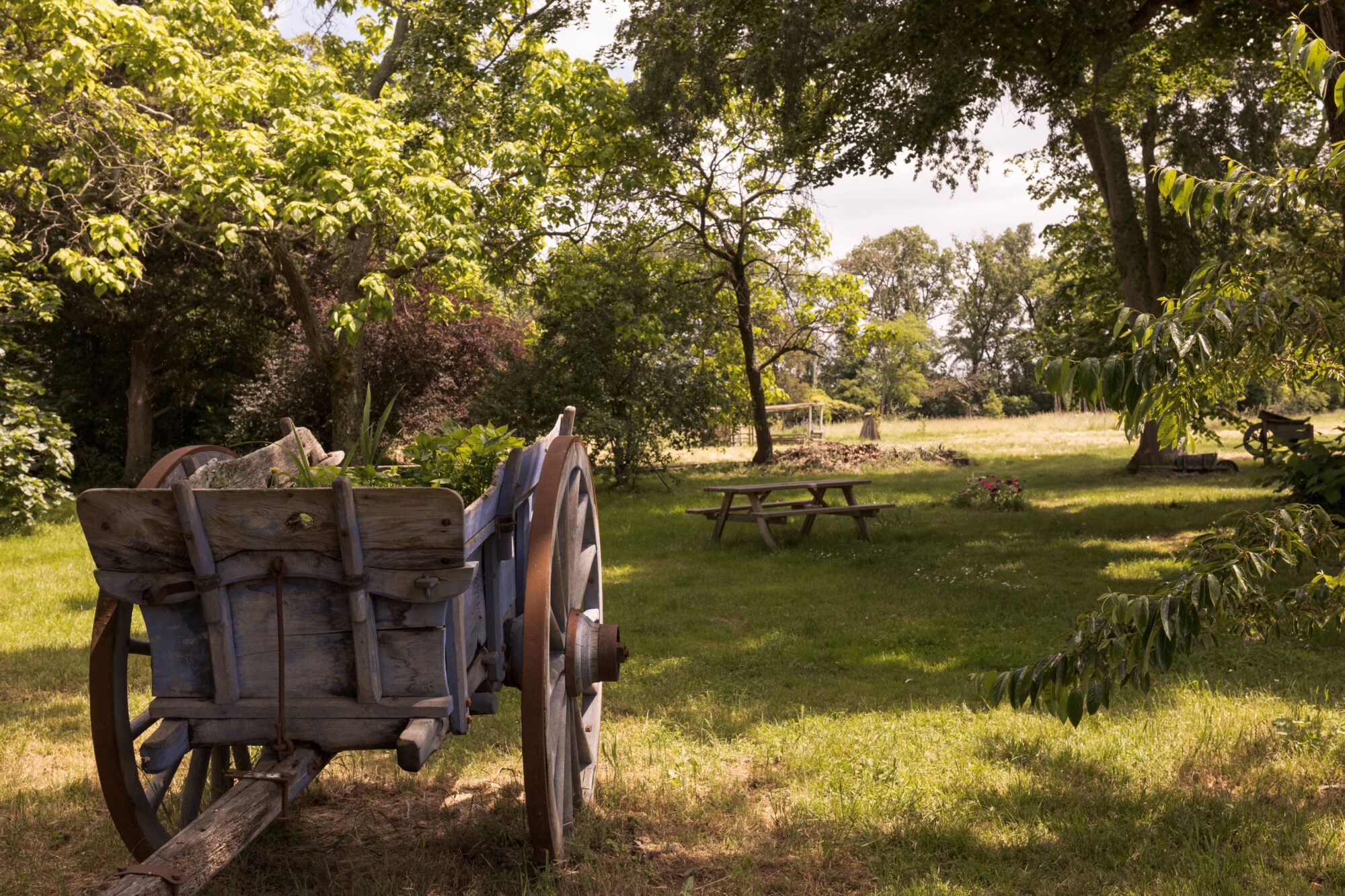 Charrette en bois ancienne dans un parc, Office de Tourisme Cœur de Garonne