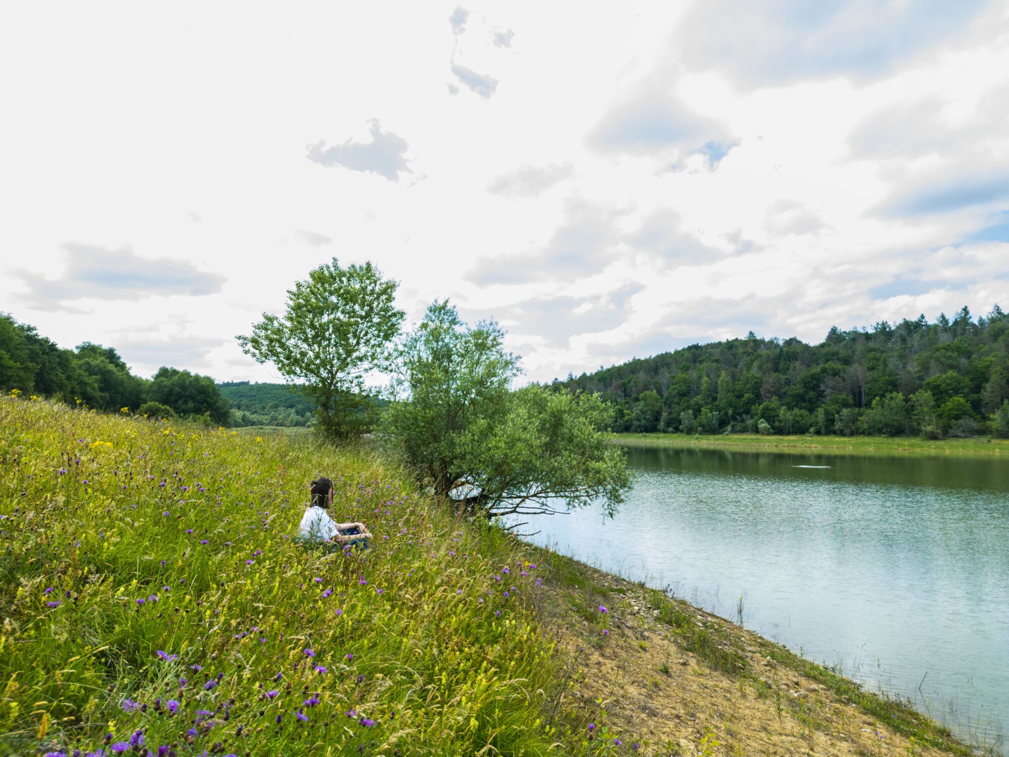 Personne assise dans une prairie fleurie au bord d’un lac en Cœur de Garonne