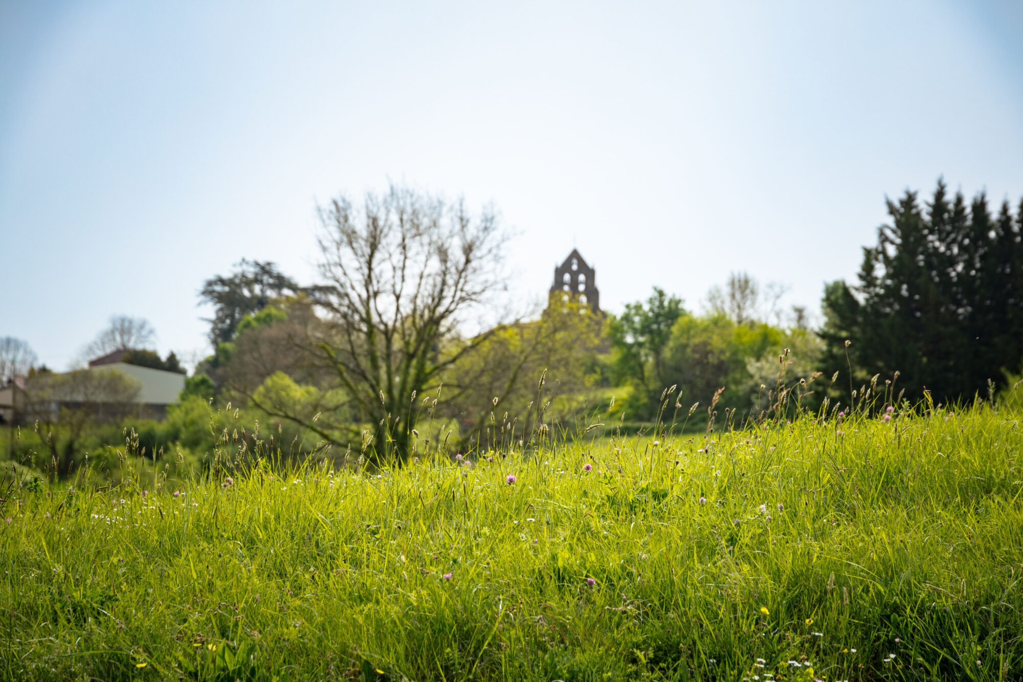 Prairie fleurie et clocher d’église, Office de Tourisme Cœur de Garonne