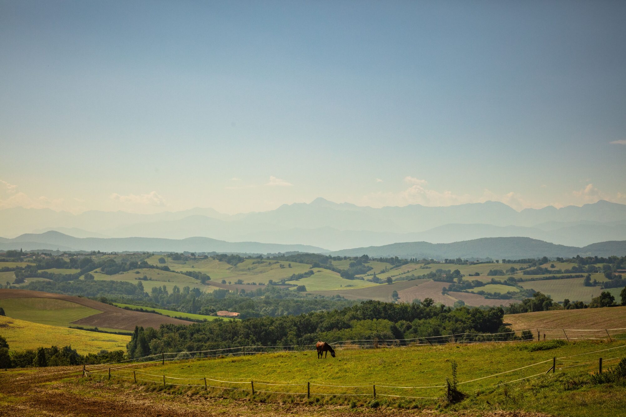 Paysage vallonné avec cheval au pré, vue sur les Pyrénées