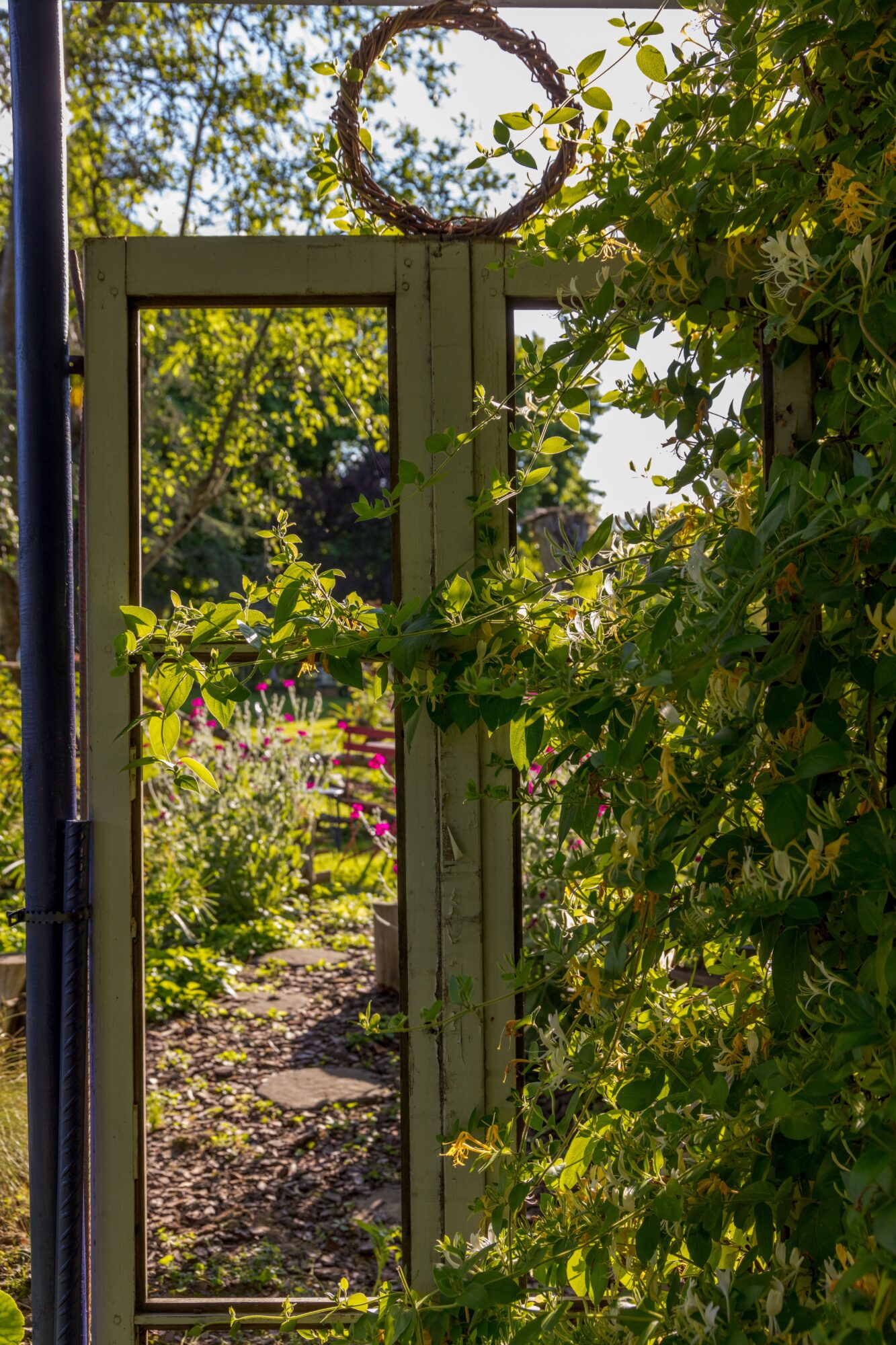Portillon de jardin entouré de chèvrefeuille en fleurs