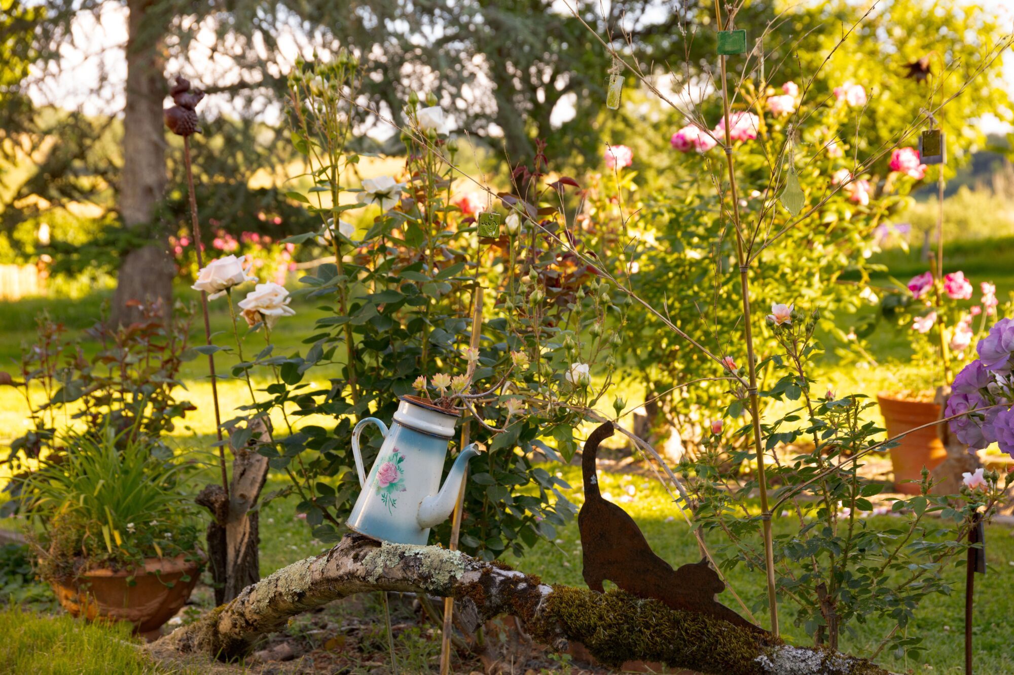 Jardin de roses avec arrosoir décoratif, Office de Tourisme Cœur de Garonne