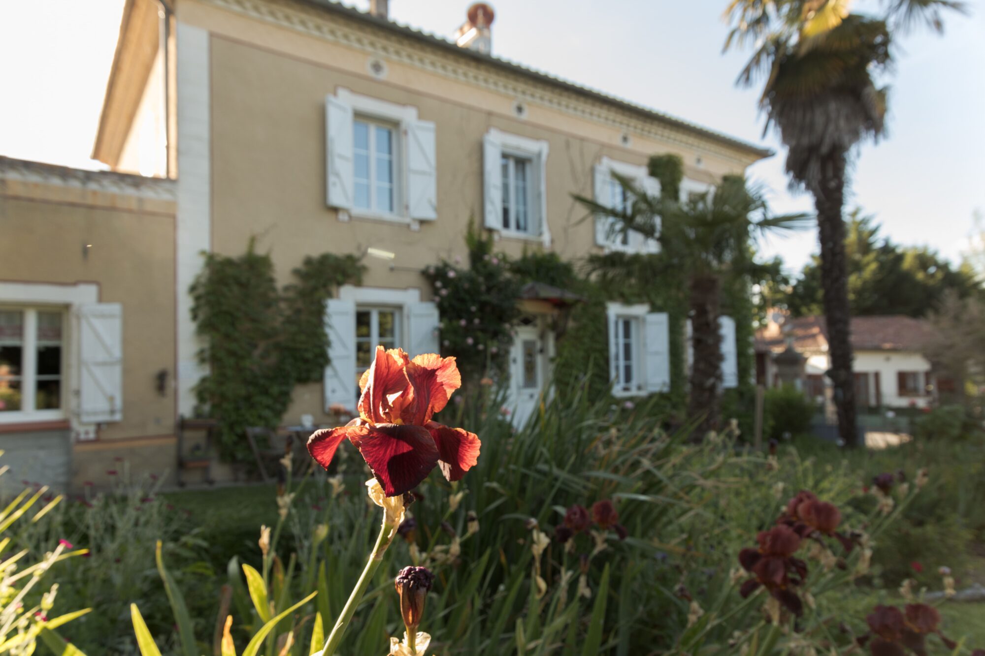 Maison de l’Office de Tourisme Cœur de Garonne avec iris au premier plan