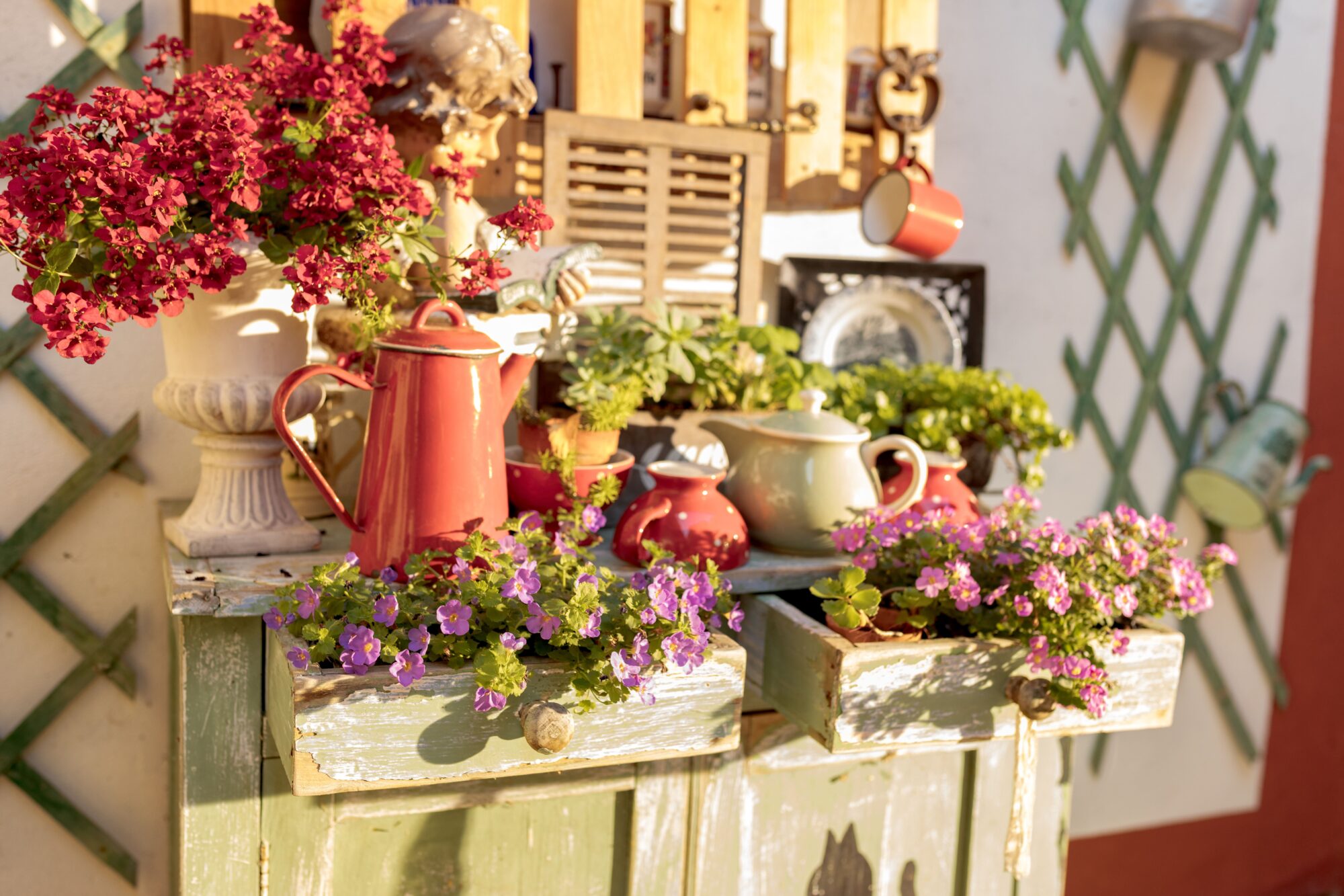 Arrosoirs et fleurs en pots sur meuble rustique, Cœur de Garonne