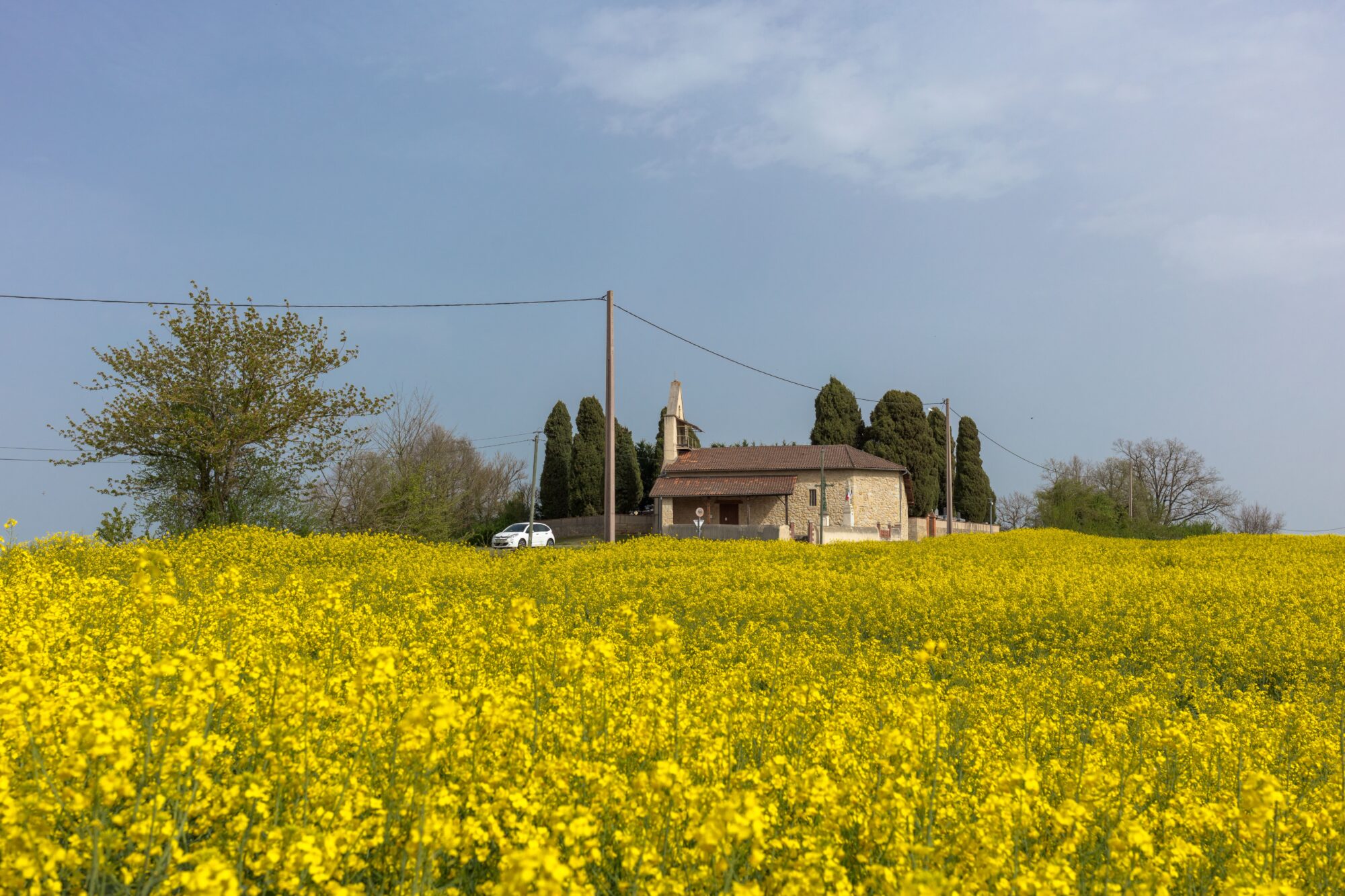 Chapelle en pierre au bord d’un champ de colza, Cœur de Garonne