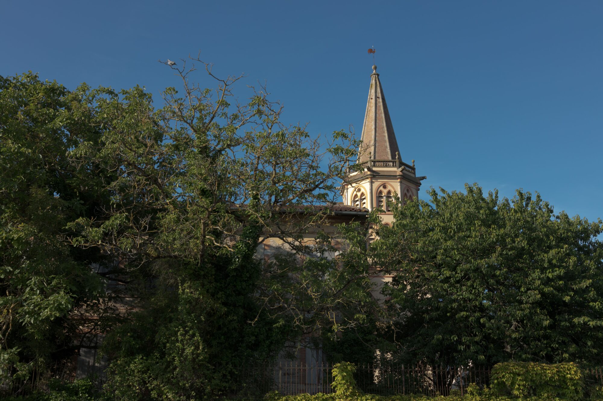 Clocher d’église aperçu derrière les arbres, Cœur de Garonne