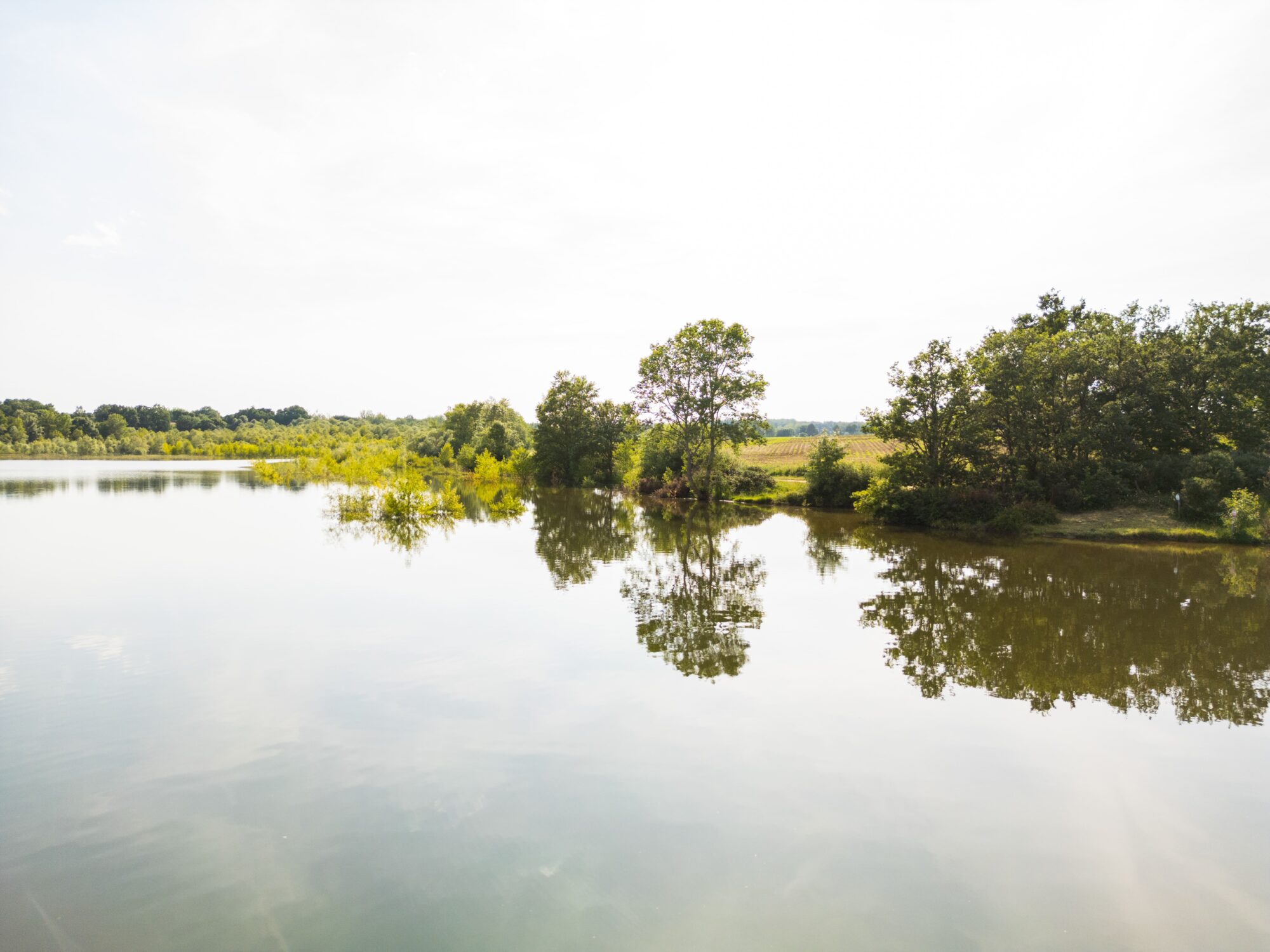Lac bordé d’arbres avec reflets, Office de Tourisme Cœur de Garonne