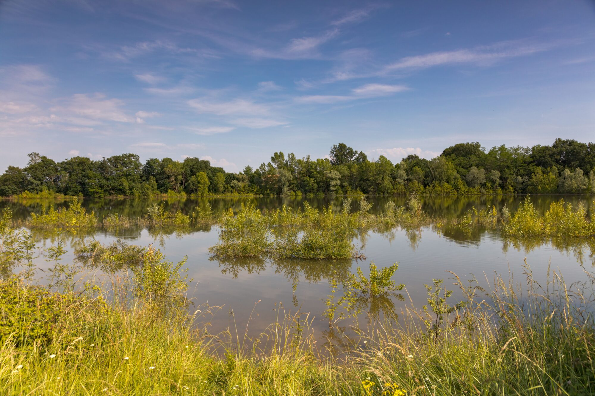 Zone humide bordée d’arbres, Office de Tourisme Cœur de Garonne