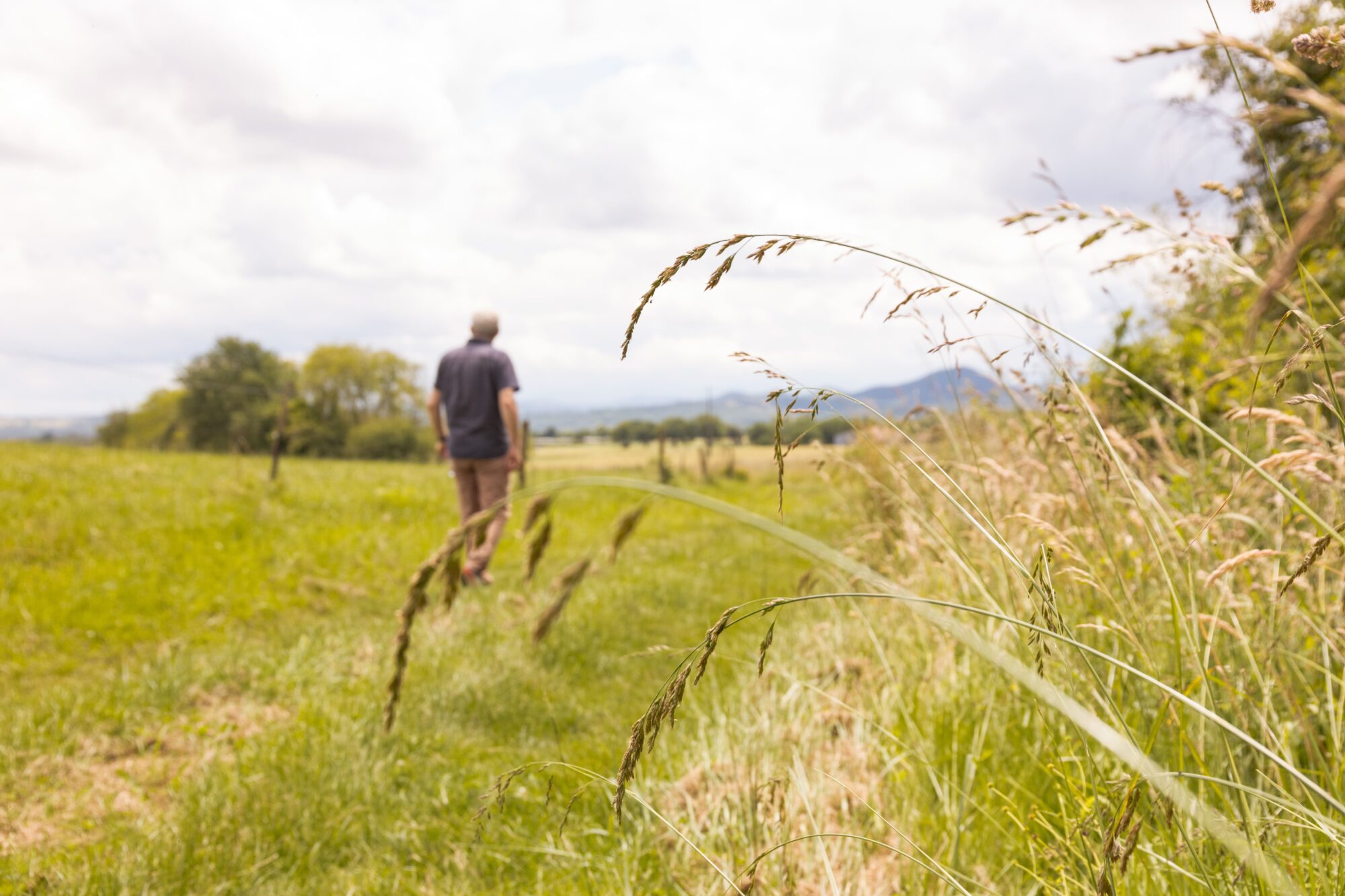 Promeneur dans un champ, Office de Tourisme Cœur de Garonne