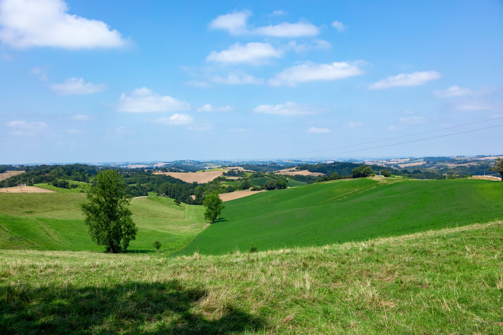 Paysage vallonné de champs verts en Cœur de Garonne