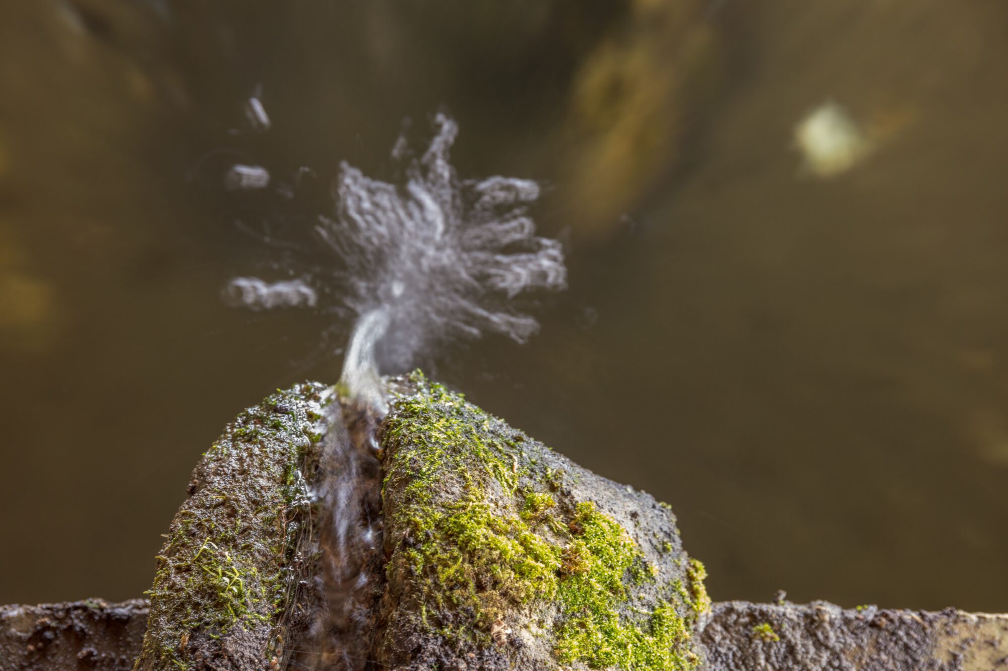 Jet d’eau sur pierre moussue, Office de Tourisme Cœur de Garonne